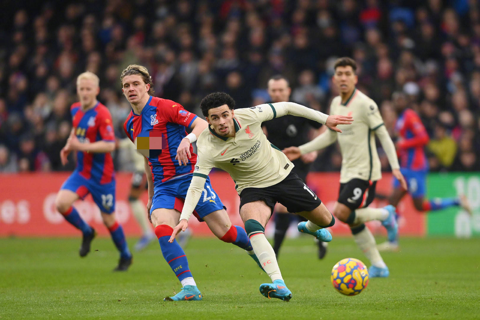 動學校在體 動學校在體